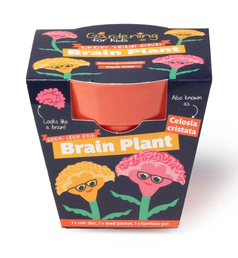 BRAIN PLANT GROWING KIT WITH POT