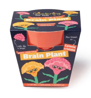 BRAIN PLANT GROWING KIT WITH POT