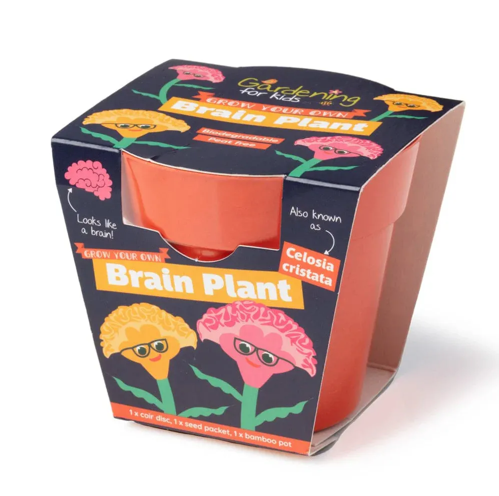 BRAIN PLANT GROWING KIT WITH POT